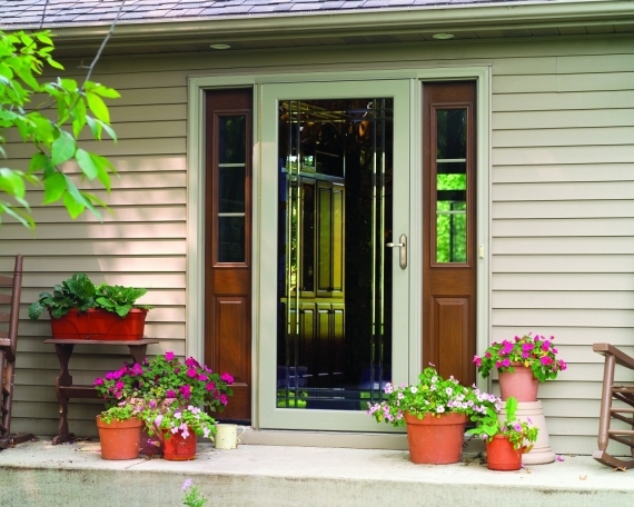 Storm Doors 7